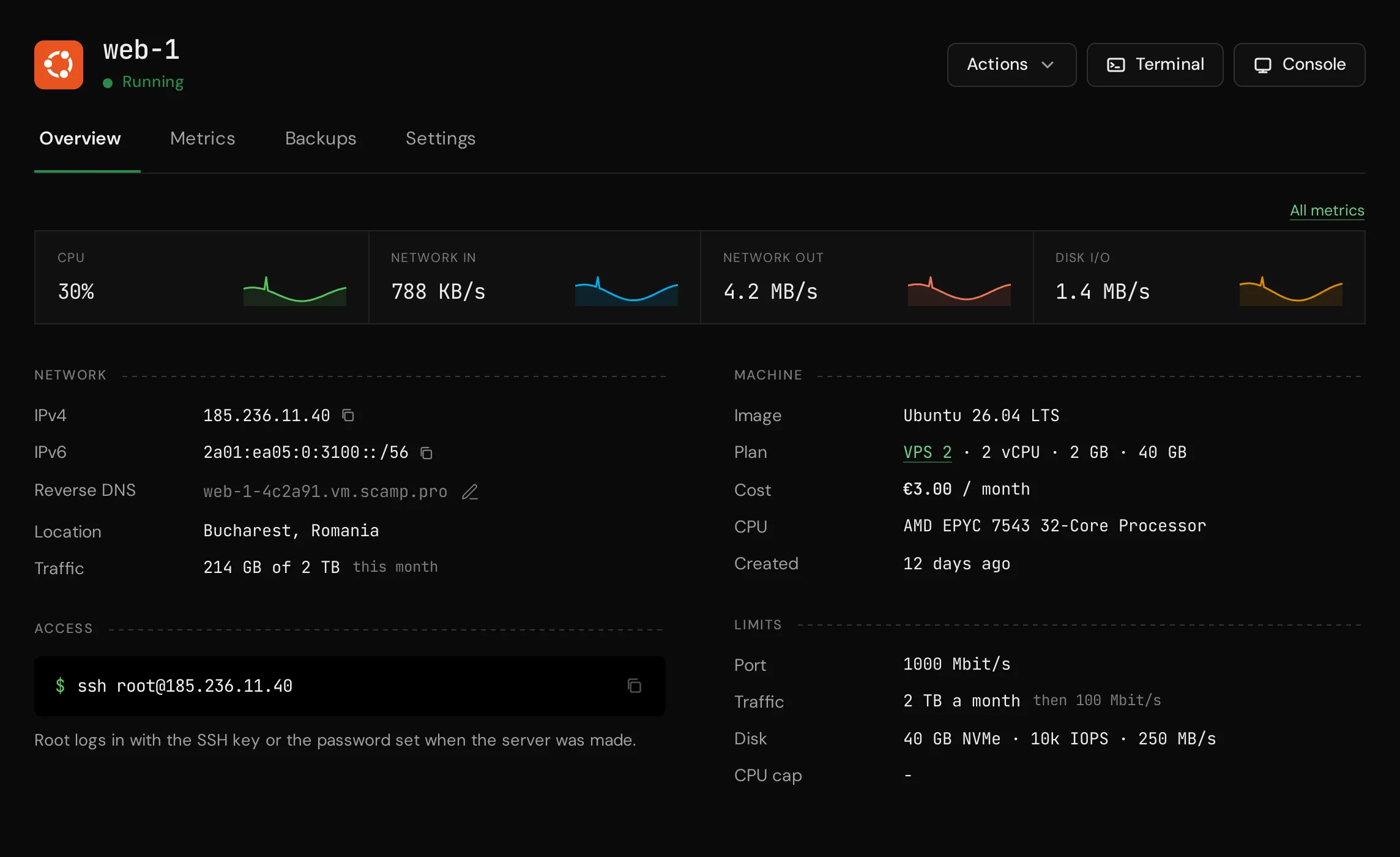 The page of a new server with its addresses and the ssh command