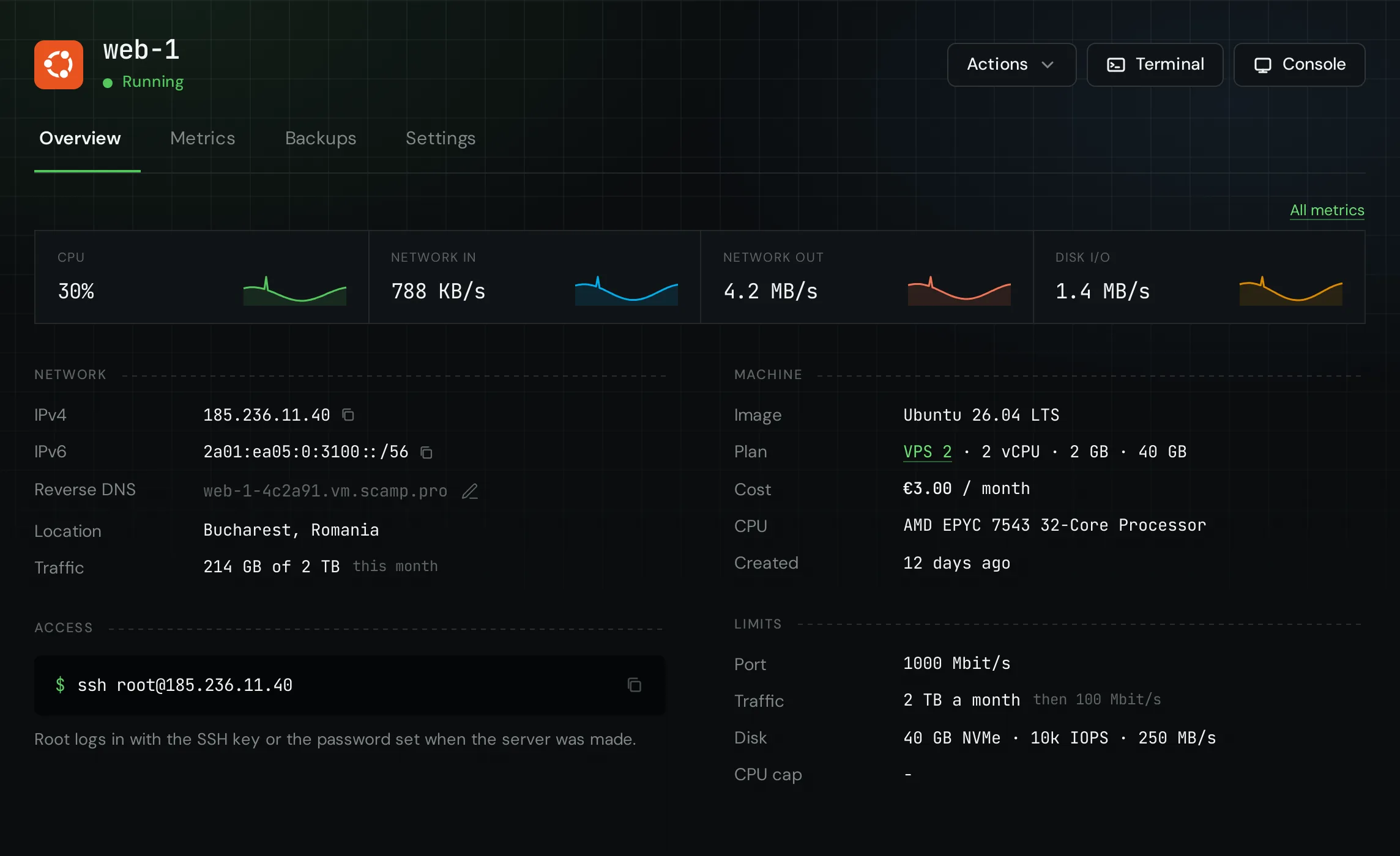 The page of a new server with its addresses and the ssh command