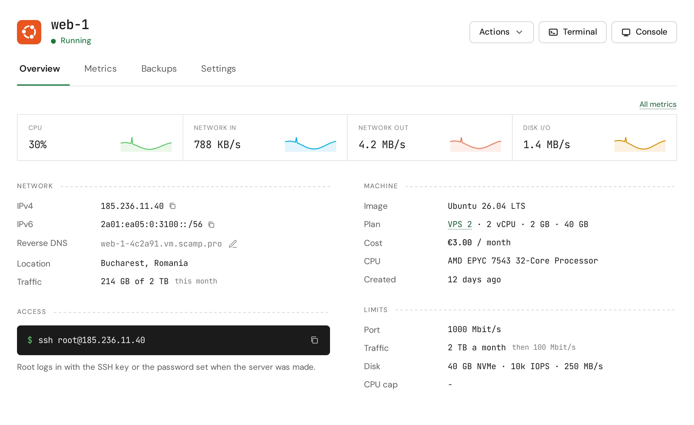 The page of a new server with its addresses and the ssh command