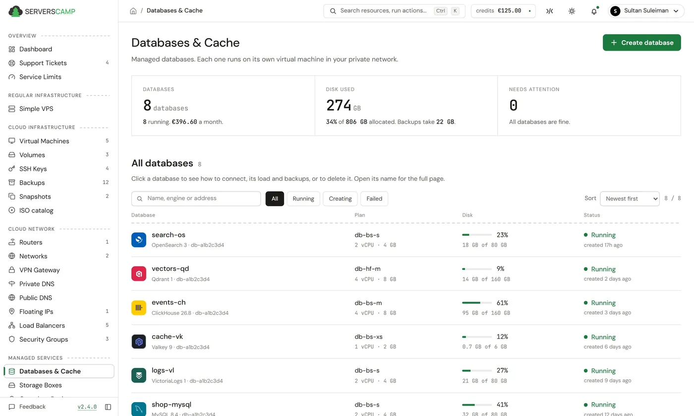 Databases page of the ServersCamp Cloud Panel